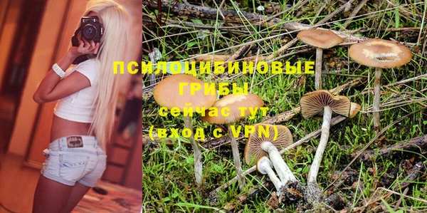 бутират Надым