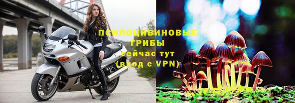 трава Приозерск