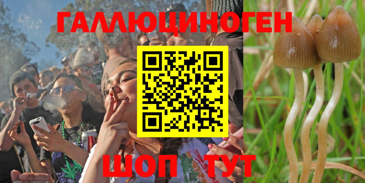 Галлюциногенные грибы прущие грибы Елец