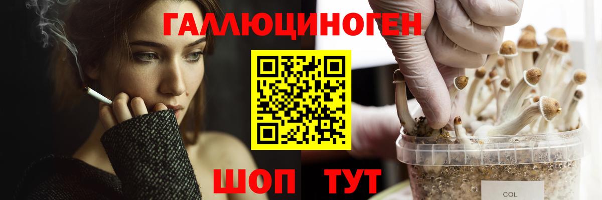 Галлюциногенные грибы ЛСД  Елец 